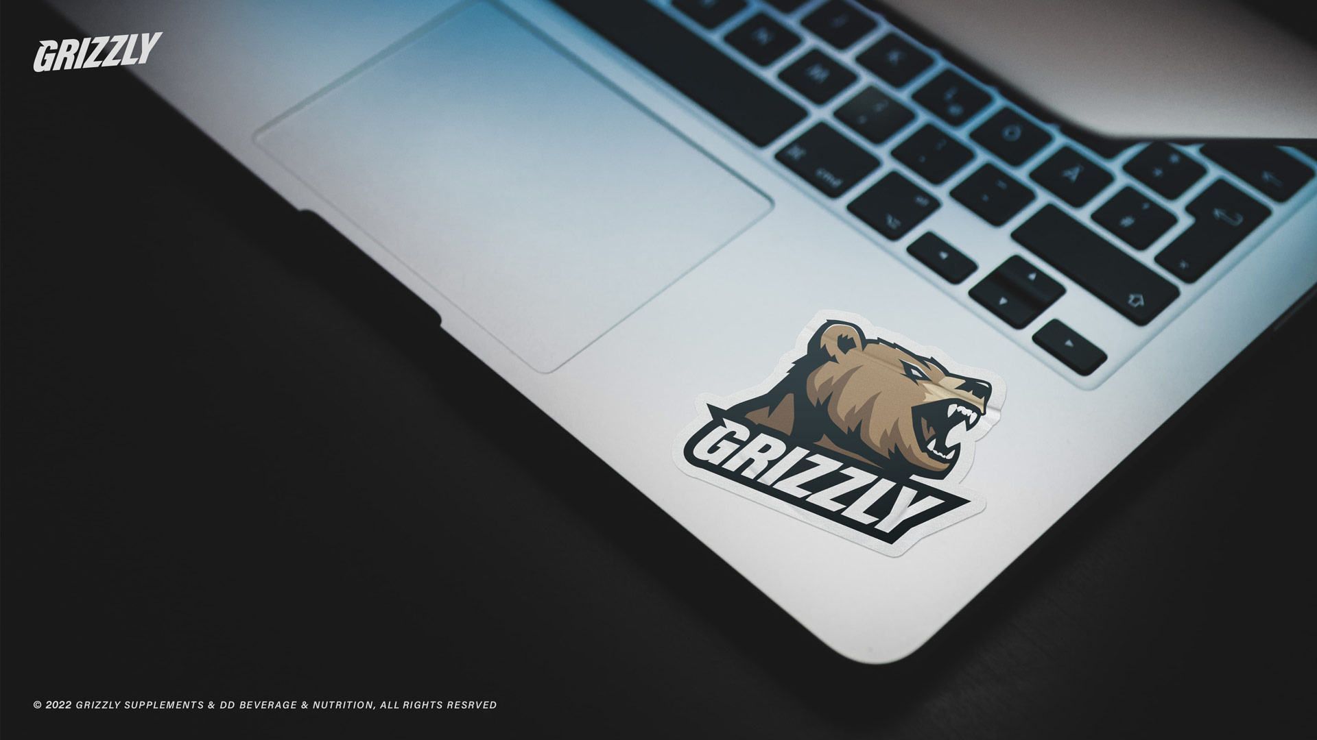 Grizzly_Mockup_Computer_Sticker_04a